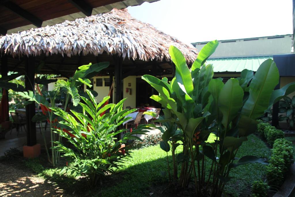 Hotel Amazon Bed And Breakfast Leticia Dış mekan fotoğraf
