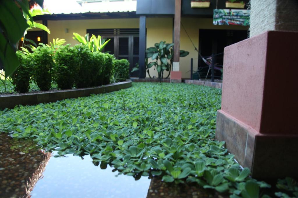 Hotel Amazon Bed And Breakfast Leticia Dış mekan fotoğraf