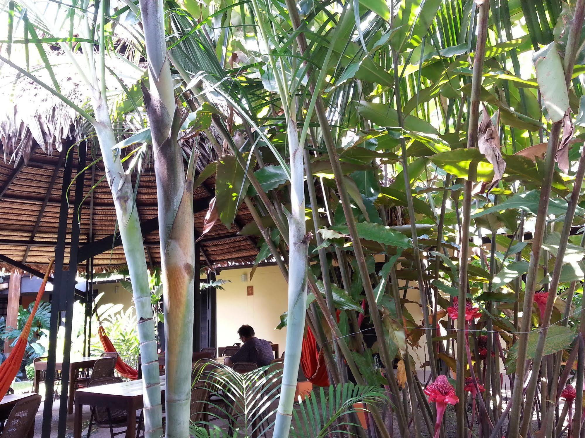 Hotel Amazon Bed And Breakfast Leticia Dış mekan fotoğraf